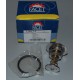 7.8674 FACET TERMOSTATO PER CITROEN C1 PEUGEOT 107 TOYOTA AYGO YARIS