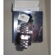 Orologio  3712251435   DOLCE & GABBANA  NUOVO