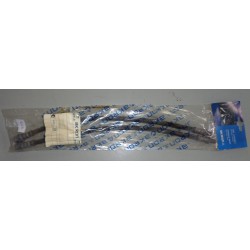 8568 AKRON MALO COPPIA TUBO FLESSIBILE FRENO PER ALFA 147 156 46454474