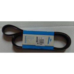 6PK1885 DAYCO   Cinghia Poly-V  PER  MITSUBISHI  Outlander I Celica VII T230 RAV4 II SUV (XA20)