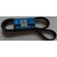 6PK2203 DAYCO   Cinghia Poly-V  PER  Nitro TRANSIT MK6 JEEP MERCEDES