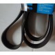 6PK2203 DAYCO   Cinghia Poly-V  PER  Nitro TRANSIT MK6 JEEP MERCEDES