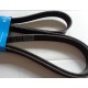 6PK2263 DAYCO   Cinghia Poly-V  PER  AUDI PORSCHE  911 OPEL MERCEDES