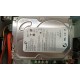 DVR 4 CANALI VGA USB VIDEOSORVEGLIANZA CON HARD DISK SEAGATE 1 TERA USATO