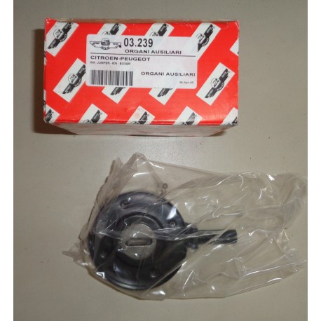 03.239 AUTOKIT Rullo tenditore PER BMW S5 CITROEN PEUGEOT