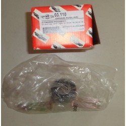 03.110 AUTOKIT Rullo tenditore PER CITROËN PEUGEOT