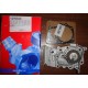 101043 METELLI Pompa acqua PER DACIA LADA NISSAN RENAULT