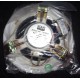 DAP AUDIO CST6512 DIFFUSORE DA INCASSO SENZA IMBALLO