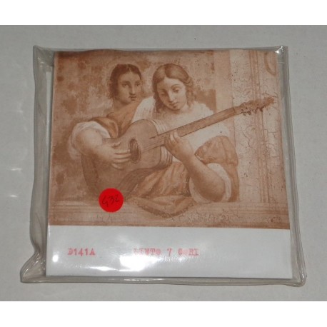 DOGAL D141A LIUTO IN NYLON 7 CORI MUTA