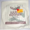 SAVAREZ HARPE DIATONIQUE HAM 40 MEDIUM LA 40 FILEE SOIE ET ACIER A BOULE