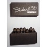 BLUEBIRD 56 GUITAR PIN SET