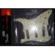 FENDER PICKGUARD STRATOCASTER SSS 11-HOLE AGED WHITE PEARL 099-2140-000