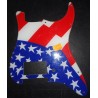 PICKGUARD PER CHITARRA (NO CONFEZIONE)