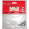 FENDER HEX TILT OV PT 10 32x1/2 12 PEZZI