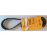 CONTINENTAL 7PK1113 Cinghia servizi PER MOVANO MASTER TRAFIC ALFA 164 NISSAN Interstar