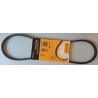 CONTINENTAL 3PK800 Cinghia servizi PER Accord III Prelude III Micra IV Note II Liteace