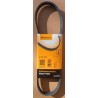 CONTINENTAL 4PK673 Cinghia servizi PER ALFA ROMEO FIAT LANCIA HYUNDAI KIA