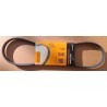 CONTINENTAL 4PK825 Cinghia servizi PER FORD Escort Mk4 MK6 EXPRESS FIESTA MK3 Y10 SUNNY