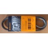 4PK874 ELAST Cinghia servizi PER ALFA HONDA KIA LEXUS NISSAN ROVER TOYOTA