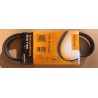 CONTINENTAL 4PK917 ELAST Cinghia servizi PER BMW S3 E46 X3 E83 FIAT STILO 192