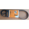 CONTINENTAL 4PK1006 Cinghia servizi PER FIAT Punto I (176)