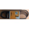 CONTINENTAL 4PK1015 Cinghia servizi PER DAILY III MASCOTT MASTER MAZDA 323 MX-3CHEVROLET