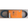 CONTINENTAL 4PK1038 Cinghia servizi PER Corvette C6 LeBaron Voyager Maxima 300ZX Coupe