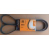 CONTINENTAL 4PK1511 Cinghia servizi PER FORD Transit Mk3 MK4