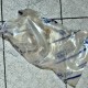 9250129610 PIASTRA DI LICENZA E LAMPADA INTERNA NUOVO ORIGINALE HYUNDAI ELANTRA
