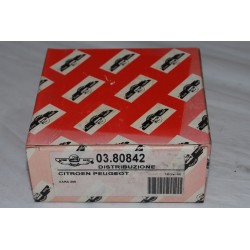 03.80842 AUTOKIT  Rullo tenditore PER CITROËN XSARA PEUGEOT 306