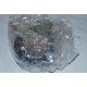 03.80842 AUTOKIT  Rullo tenditore PER CITROËN XSARA PEUGEOT 306