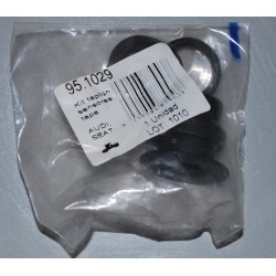 95.1029 CAUTEX KIT SENSORE TAPPO TERMOSTATO PER AUDI VW
